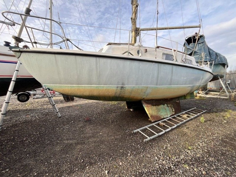 
								Kingfisher 26 1969 full									