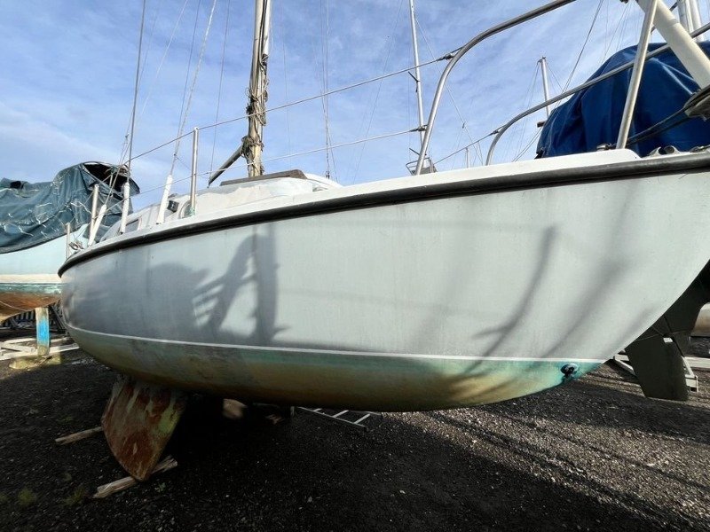 
								Kingfisher 26 1969 full									